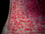 Charcoal Black Kanthha Saree with Fuchsia and Ivory Detailing