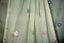 Whispers of Sage, Pure Muslin Jamdaani Saree