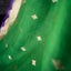 Emerald Radiance – Pure Banarasi Kora Silk Saree