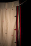 Natural Beige Jamdaani Saree with Red and Black Accents