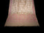 Whispers of Forest - Pure Tassar Jamdaani Saree