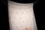 Ivory Handwoven pure cotton Jamdaani Saree with Multicolor Florals