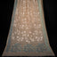 Beige pure Tassar Jamdaani Saree with White Vine and Aqua and Blue Motifs