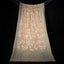 Beige pure Tassar Jamdaani Saree with White Vine and Aqua and Blue Motifs