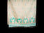 Ivory Jamdaani Saree with Aqua Blue and White Floral Motifs