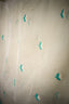 Ivory Jamdaani Saree with Aqua Blue and White Floral Motifs