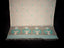 Ivory Jamdaani Saree with Aqua Blue and White Floral Motifs