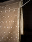 Golden Whisper, Pure Muslin Jamdaani Saree