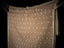 Golden Whisper, Pure Muslin Jamdaani Saree