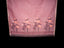 Rose Pink Jamdaani Saree with Coral Floral Pallu