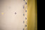 Ivory Jamdaani Saree with Mustard Border and Geometric Motifs