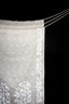 Whispers of Ivory Bloom - Ivory Jamdaani Saree with White Floral Vine Borders