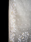 Whispers of Ivory Bloom - Ivory Jamdaani Saree with White Floral Vine Borders