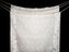 Whispers of Ivory Bloom - Ivory Jamdaani Saree with White Floral Vine Borders