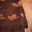 Black-Brown Pure Matka Tissue Jamdaani Saree
