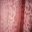 Blush Pink Hand Embroidered Chikankaari Saree