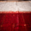 Radiance in Red & White – Pure Matka Silk Jamdani Saree