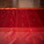 Radiance in Red & White – Pure Matka Silk Jamdani Saree