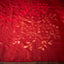 Eternal Blossom in Red – A Pure Matka Silk Jamdaani Saree with Muslin Pallu
