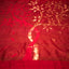 Eternal Blossom in Red – A Pure Matka Silk Jamdaani Saree with Muslin Pallu