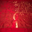 Eternal Blossom in Red – A Pure Matka Silk Jamdaani Saree with Muslin Pallu