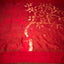 Eternal Blossom in Red – A Pure Matka Silk Jamdaani Saree with Muslin Pallu