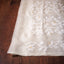 Whispers of Ivory Bloom - Ivory Jamdaani Saree with White Floral Vine Borders