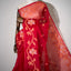 Shuddh Laal Muslin Jamdani with Floral Vine border and Pallu