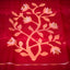Shuddh Laal Muslin Jamdani with Floral Vine border and Pallu