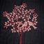 Kantha Vriksha Linen Saree – Midnight Black with Crimson & Ivory Kantha Embroidery