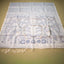 Neel Mayur Vana Jamdani - Handwoven Muslin Jamdani Saree
