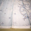 Neel Mayur Vana Jamdani - Handwoven Muslin Jamdani Saree