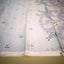 Neel Mayur Vana Jamdani - Handwoven Muslin Jamdani Saree