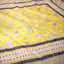 Katha Chitra Tussar Silk Saree – Natural Beige with Yellow Ornamental Motif