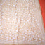 Katha Chitra Tussar Silk Saree – Natural Beige with Floral Jaal