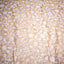 Katha Chitra Tussar Silk Saree – Natural Beige with Floral Jaal