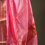Rang Noor - Blush Gulabi Handwoven Pure Chanderi Saree
