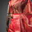 Rang Noor - Gulnar Handwoven Pure Chanderi Saree