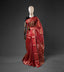 Rang Noor - Gulnar Handwoven Pure Chanderi Saree