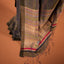 Rangdhara - Dhara  Handwoven Tissue Matka Silk Saree