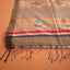 Rangdhara - Dhara  Handwoven Tissue Matka Silk Saree