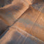 Dyuti - Steel Blue Gold with Dual-Toned Metallic Sheen Tissue Kanjivaram Silk Saree