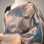 Dyuti - Steel Blue Gold with Dual-Toned Metallic Sheen Tissue Kanjivaram Silk Saree