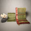 Rang Maheshwari Silk two-piece suit set – Lime Green & Rust