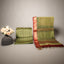 Rang Maheshwari Silk two-piece suit set – Lime Green & Rust